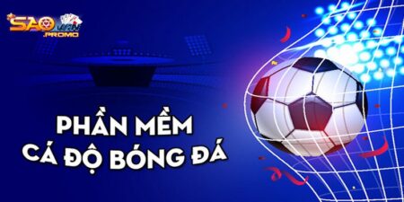 Phần mềm cá độ bóng đá