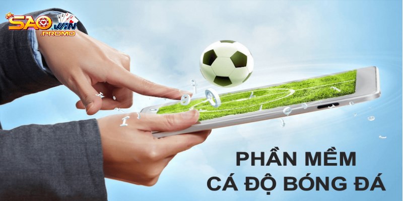Định nghĩa cơ bản về ứng dụng cá cược bóng đá bạn cần biết